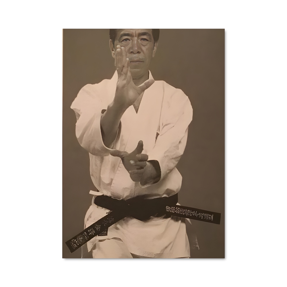 Poster Hirokazu de kanazawa – affiche Karaté
